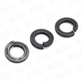 Golilla Presion 1      066