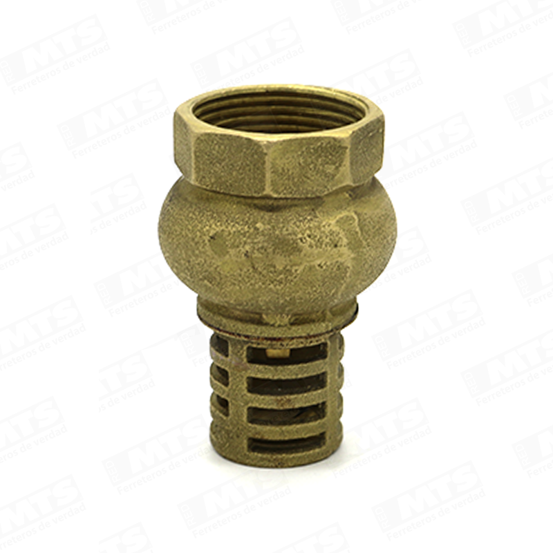 Valvula Pie Bronce 2 1/2 Rej.Bronce