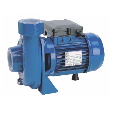 Reggio Bomba Scf1 100  1,0Hp Rie.2450Lt