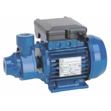 Reggio Bomba Sp100 1.0Hp 220V