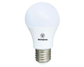 Amp West Led Bola A70 15W 65052 E27 Luz Dia