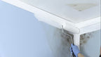 Rust Zinsser Mold Killing Primer 0.9L 322362 E/Hon