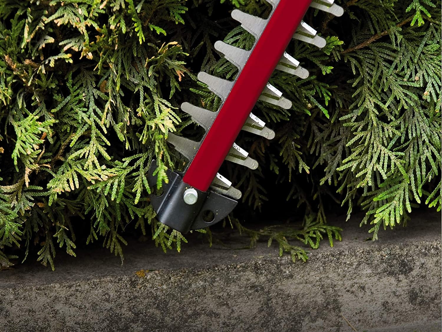 Einhell Cortasetos Inalambrico Bateria 1.5