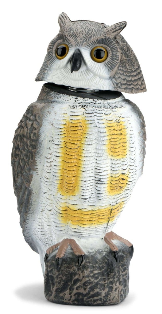 Buho Eolico Espanta Pajaros Anti Aves