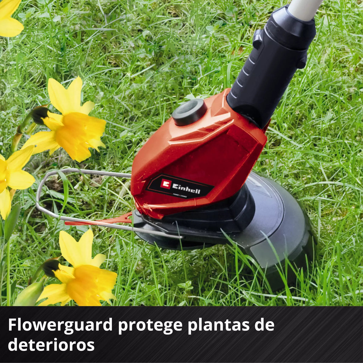 Einhell Orilladora Inalambrica +bat2.5 Ah+carg 3411219