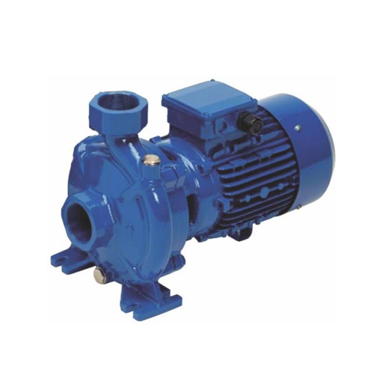 Reggio Bomba Cfm-200(Stm)2,0Hp 220V 2X2
