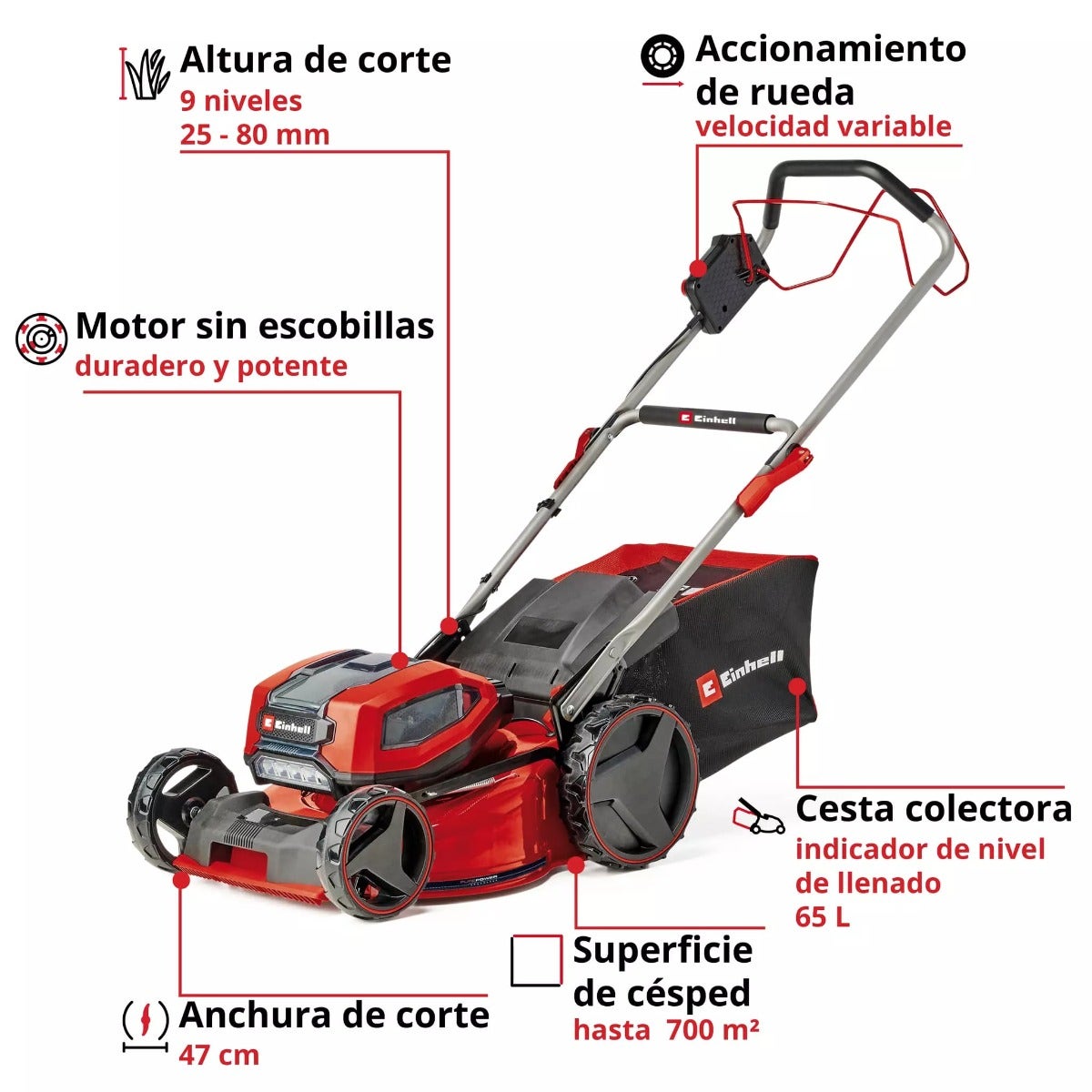 Einhell Cortadora De Pasto Inalambrica 4x 4.0ah 3413310