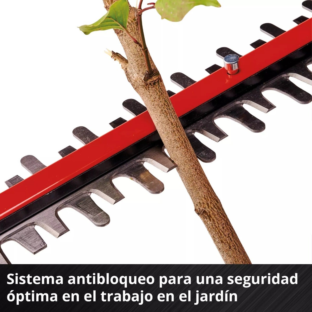 Einhell Cortasetos Inalambrico - Gp-ch 18/50 Li Bl-solo   - 3410950