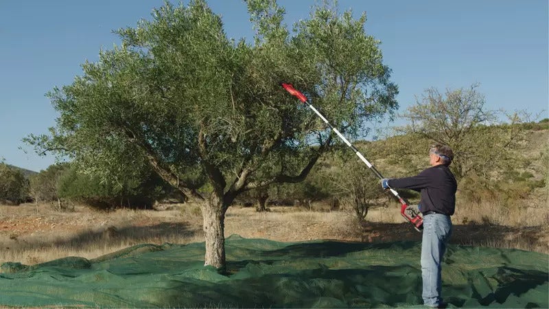 Einhell Cosechadora De Olivos y Frutas Inalamrica 3411400