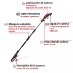 Einhell Sierra Podadora De Altura Inal&aacute;mbrica Professional 3410971
