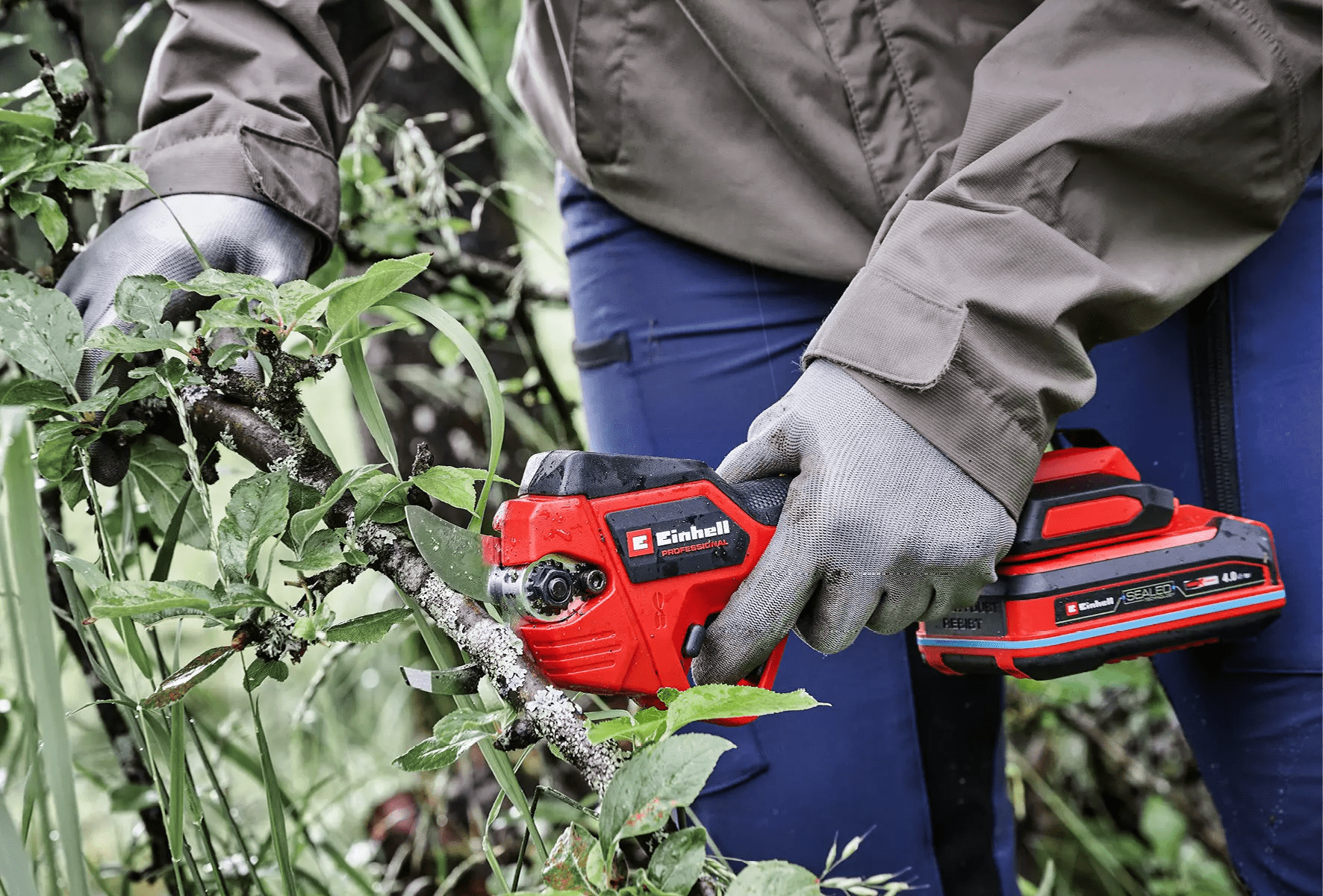Einhell Tijera De Podar Inal&aacute;mbrica Professional 3408320