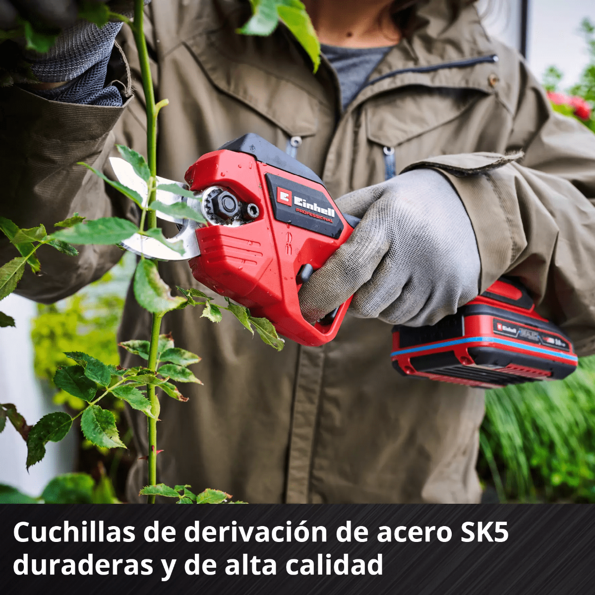 Einhell Tijera De Podar Inal&aacute;mbrica Professional 3408320