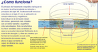 Scalewatcher 4Star Ablandador De Agua Electrico
