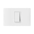 Bticino Interrup Emb 9/12 Luzica Pu1100