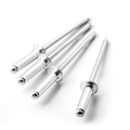 Harden Bolsa Remache 4,8 X 16Mm (50 Un) 610133