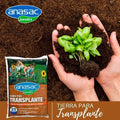Anasac Tierra Para Trasplante 25Lt 1500957