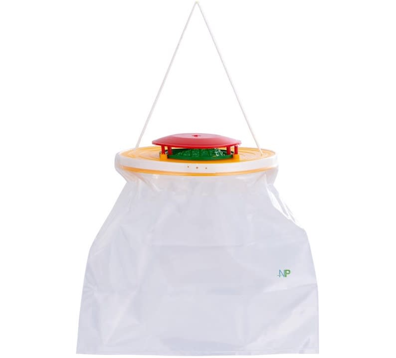 Trampa  Domestica Mosca+Sachet Cebo 1500085 Anasac